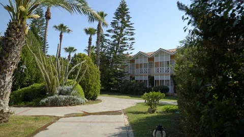 Blue sky, path among palm trees, camera movement forward Stock-Footage 92146643