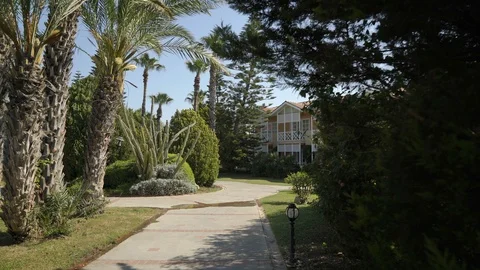 Blue sky, path among palm trees, The man is moving forward. Video stock 92147015