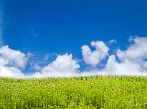 Blue sky Stock Photos