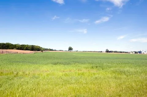 Blue sky Stock Photos