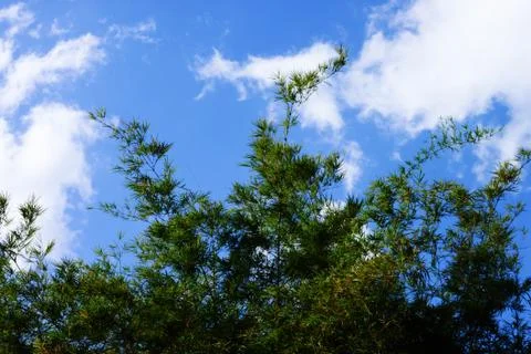 Blue sky Stock Photos