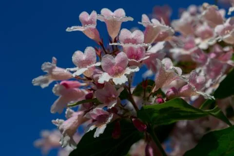 Blue sky Stock Photos