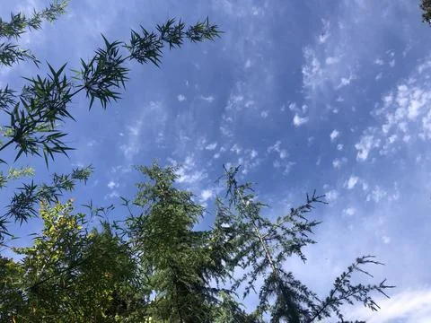 Blue sky Stock-Fotos