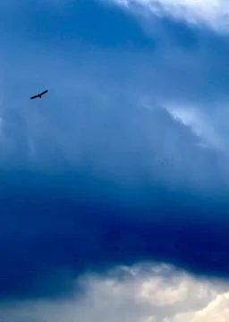 Blue sky Stock Photos