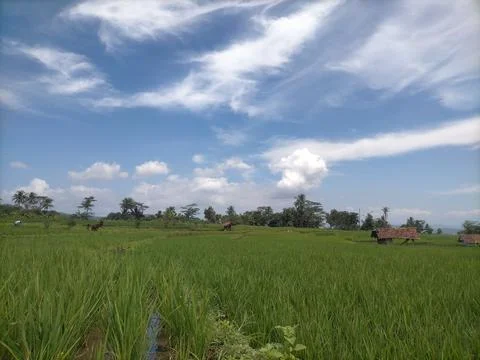 Blue sky Stock Photos