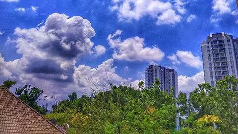 BLUE SKY Фото
