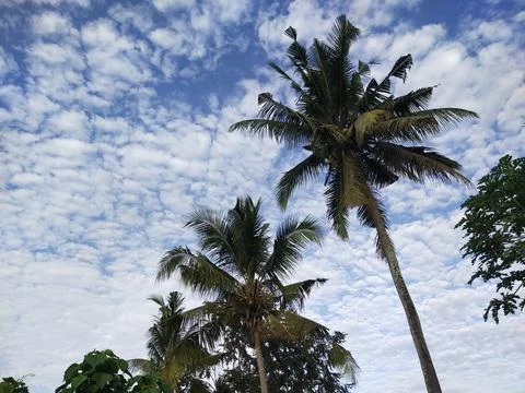 Blue sky Stock Photos