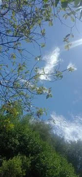 Blue sky Stock Photos