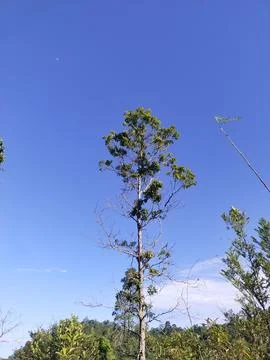 Blue sky Stock Photos