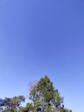 Blue sky Stock Photos