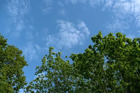 Blue sky Stock Photos