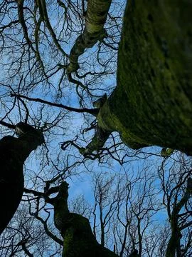 Blue Sky Fotos de archivo