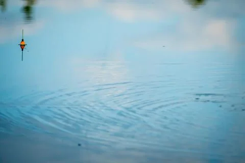 Blue sky reflected on the surface of a forest lake Stock Photos