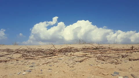 Blue Sky, Sand Dune Stock Footage 245296823