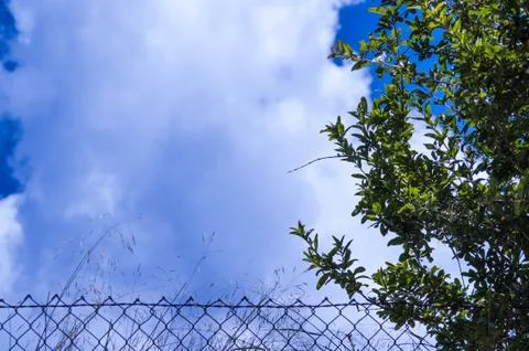 Blue sky saturated with clouds Stock Photos