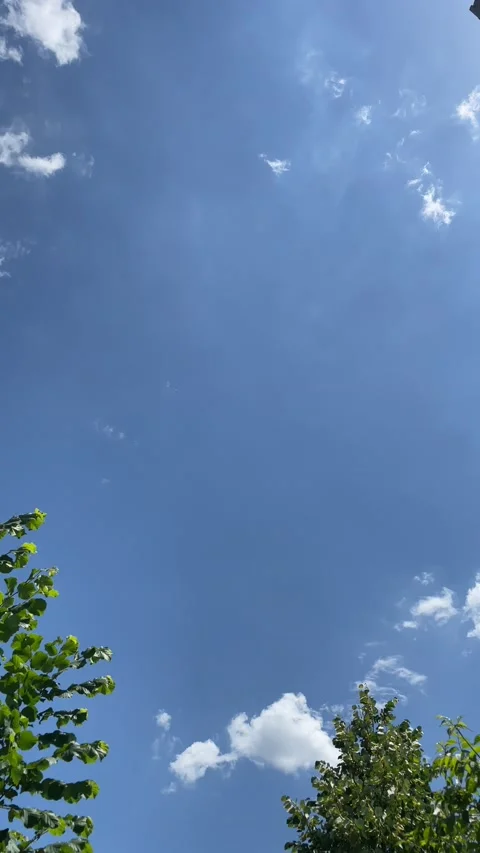 Blue Sky with Scattered White Clouds Above Green Tree Tops Video stock 198676898