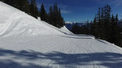Blue sky ski day POV through pine trees Stock Footage