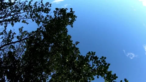 Blue sky, Sky, clouds Stock-Footage 277345988