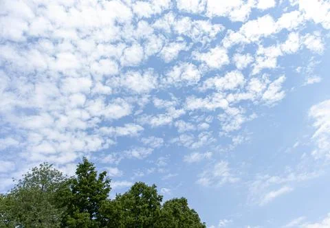 Blue sky with small clouds and treetops Foto stock