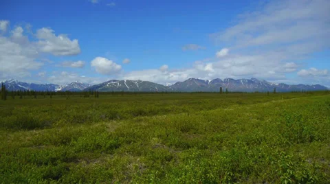 Blue Sky, Snow Capped Mountains, and Green Trees Stock Footage 37403822