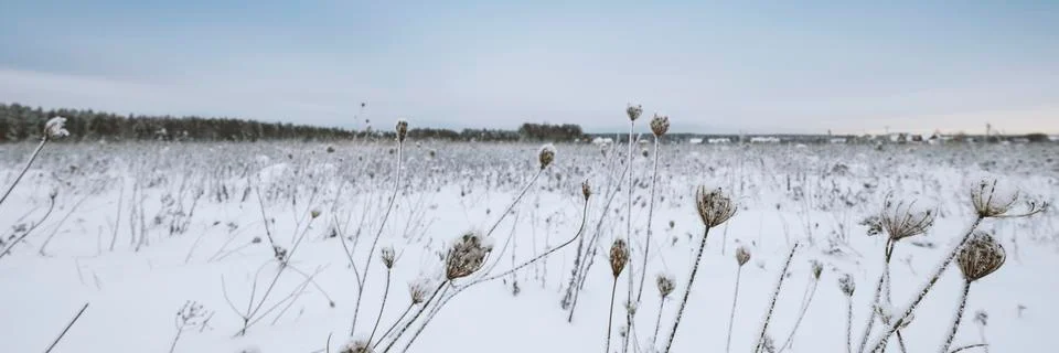 Blue sky with snow field Stockfoto's