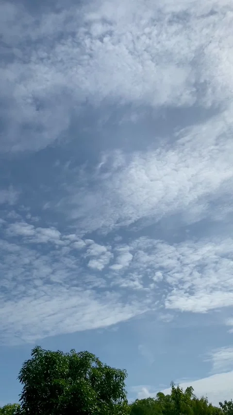 Blue Sky with Soft Clouds Above Green Trees Stock Footage 325411297