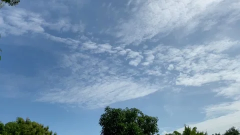 Blue Sky with Soft Clouds Above Green Trees Stock Footage 325411308