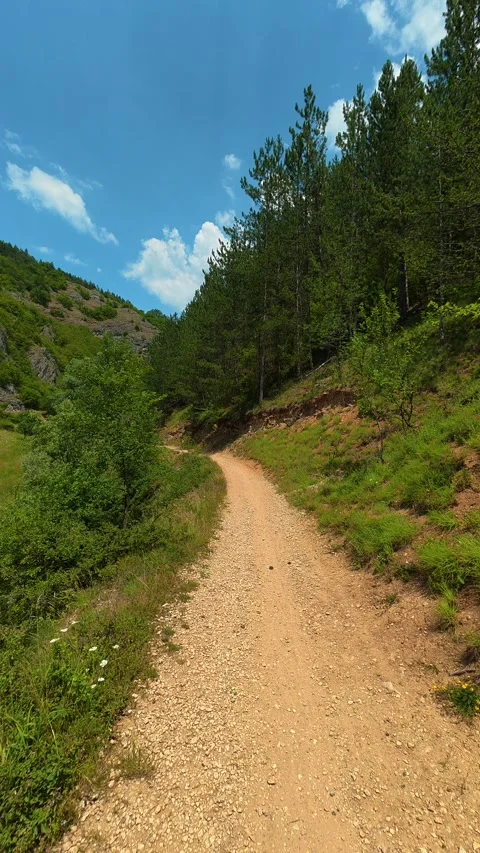 Blue sky with soft clouds above the trees. Gradasnica River Canyon, Vertical Vídeo Stock 341964920
