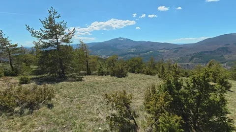Blue sky stretches above pine trees. Balkan, Eastern Europe, POV 스톡 동영상 333441180