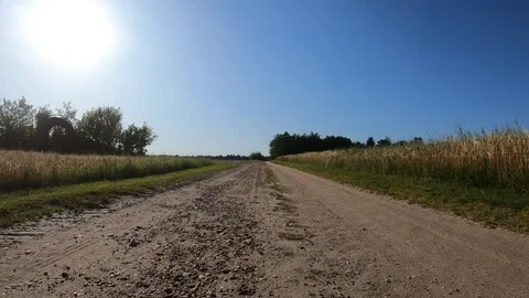 Blue Sky Sunny Car View Driving Forward 4K Road Summer Travel Adventure GoPro Stock Footage 113069088