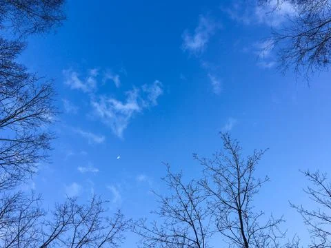 Blue sky in sunset Stock Photos
