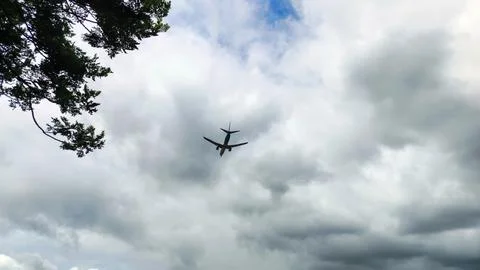 Blue sky with thick clouds behind trees swaying gently in the wind. Stock Photos