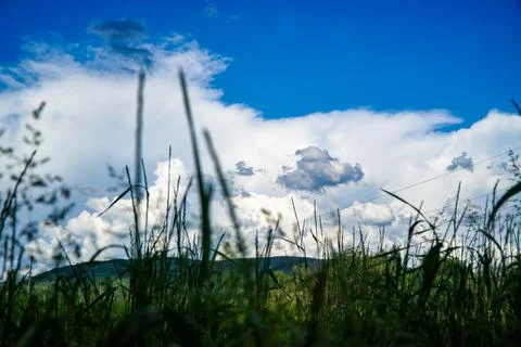 Blue sky through the grass Stock Photos