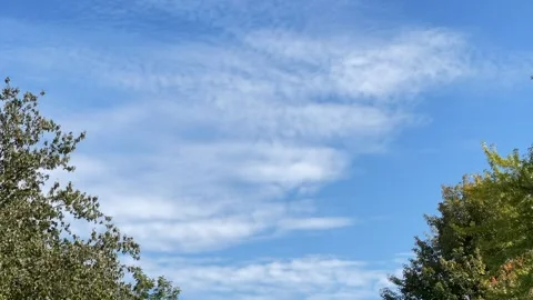 Blue Sky Time lapse with clouds Stock Footage 230020102