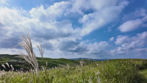 Blue Sky Timelapse Over Japan with Fast Moving Clouds Stock Footage 336907309