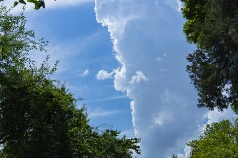 Blue Sky with Towering White Cloud and Green Trees Stock Photos