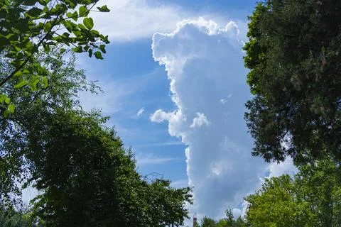 Blue Sky with Towering White Cloud and Green Trees Stock-Fotos