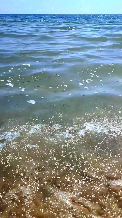 Blue sky transparent water sea waves blue sea sandy beach seashore sunny day Stock Footage 294216341