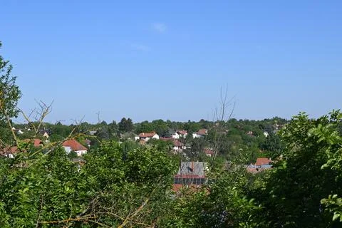 Blue sky with tree branches background Fotos Stock