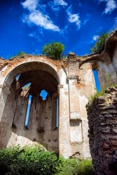 In a blue sky a tree grows on a dilapidated wall Foto stock