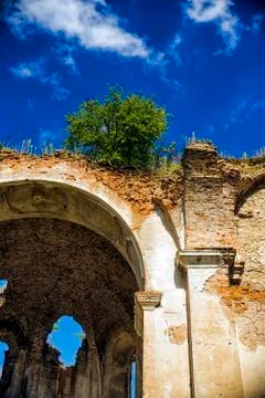 In a blue sky a tree grows on a half-open wall. Stock Photos