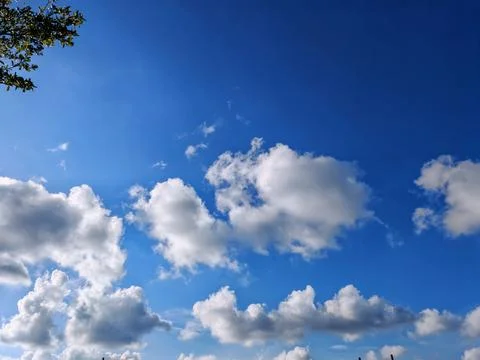 Blue Sky with Tree Stock Photos