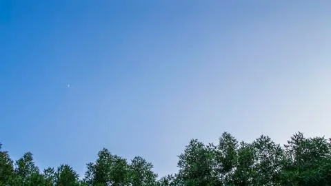 Blue sky &amp; trees - can be used as a background / wallpaper 스톡 사진