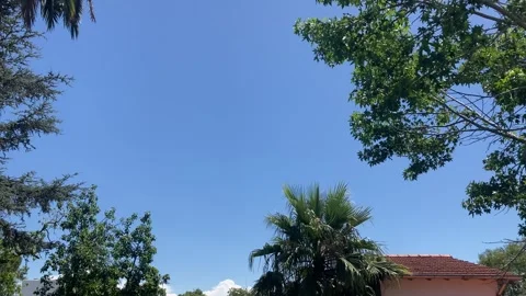 Blue sky with trees Vídeos de archivo 260261411