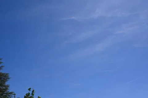 Blue sky with trees outdoors background Fotos Stock