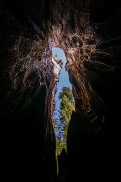 Blue Sky Tunnel Through Burned Sequoia Trunk Stock Photos