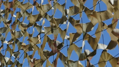 Blue sky under camouflage net Stock Footage 130795127