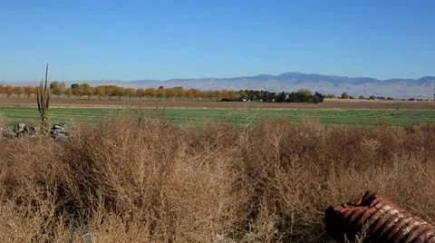 Blue Sky View Stock Footage 8969405