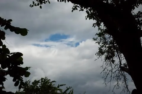 Blue sky visible through gray clouds above dark tree silhouettes. Stock Photos