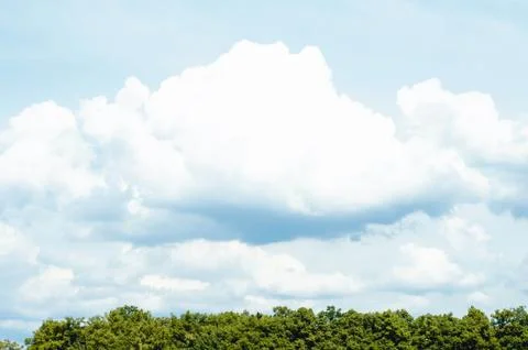 Blue sky with voluminous clouds of summer day and top of trees Stock Photos
